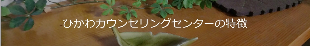 ひかわカウンセリングセンターの特徴